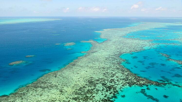Great Barrier Reef in Australien