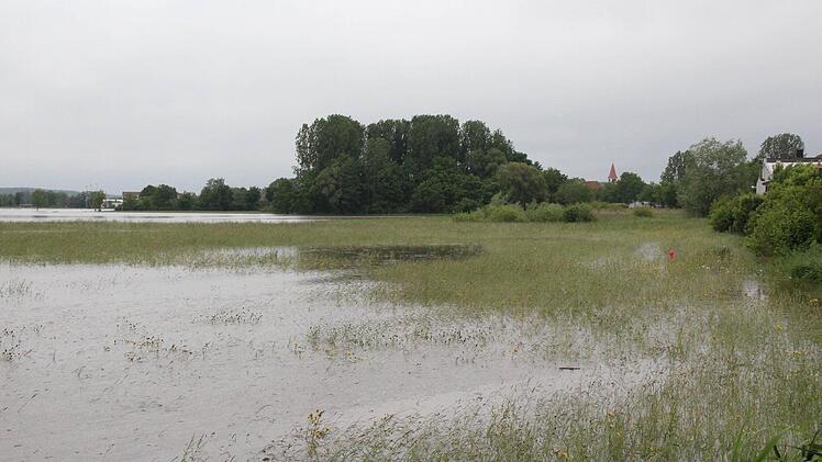 Blick vom Pfadinderheim auf die Aischwiesen. Foto: Johanna Blum