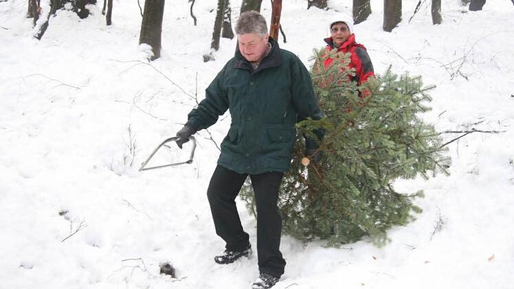 Happy-End auch bei Familie Roth aus Weißenbrunn: Gunda Roth ein stattliches Exemplar gefunden und Norbert Roth durfte die Säge anlegen