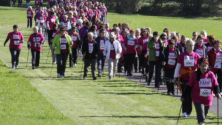 Der Fußweg reichte nicht aus, um die Masse der Walkerinnen beim Pink-Lauf zu fassen. Foto: Thomas Dill