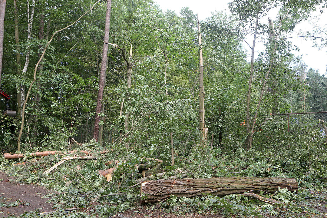 Aufraeumarbeiten in Bamberg nach schwerem Unwetter