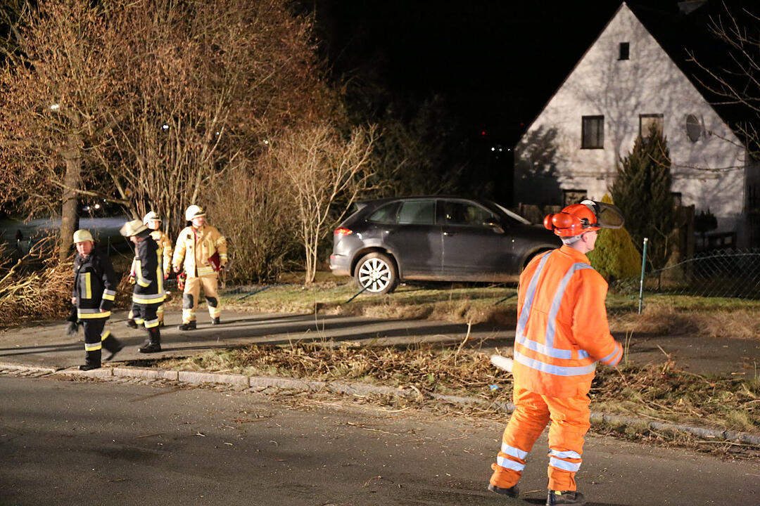 Verfolgungsjagd auf A9 endet in Vorgarten