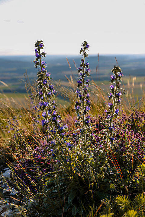 Herrliches Wandergebiet im Bamberger Umland