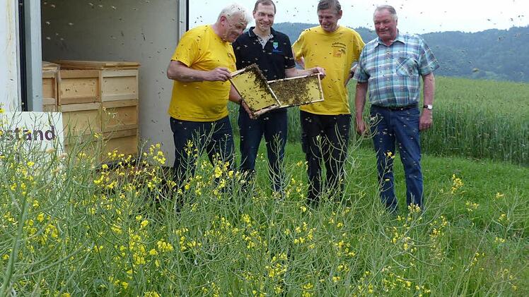 Fleißig sammeln die drei Bienenvölker von Heinrich Witzgall den Nektar vom Rapsfeld des Landwirtes Martin Baumgärtner. Unser Bild zeigt am Rapsfeld im Bergfeld oberhalb von Unterzaubach (von links) Imker Heinrich Witzgall, Landwirt Martin Baumgärtner, Altimker Roland Blüchel und BBV-Ortsobmann Winfried Baumgärtner.  Foto: Klaus-Peter Wulf