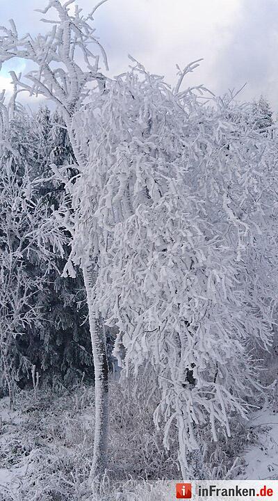 Eis und Schnee in Franken - die schönsten Winterleserfotos