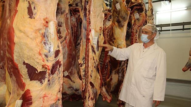 Dienstags wird immer Rind geschlachtet im Kulmbacher Schlachthof, erl&auml;utert Leiter Dirk Gr&uuml;hn. Fotos: Christine Fischer