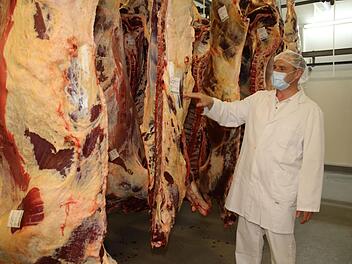 Dienstags wird immer Rind geschlachtet im Kulmbacher Schlachthof, erläutert Leiter Dirk Grühn. Fotos: Christine Fischer