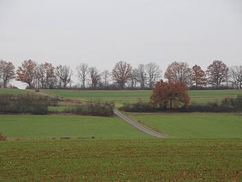 Der Grünstreifen zwischen dem Treibweg (am oberen Bildrand) und dem Heckenzug darunter soll - entgegen der vorherigen Planung - von einer Bebauung frei bleiben. Foto: Andreas Dorsch