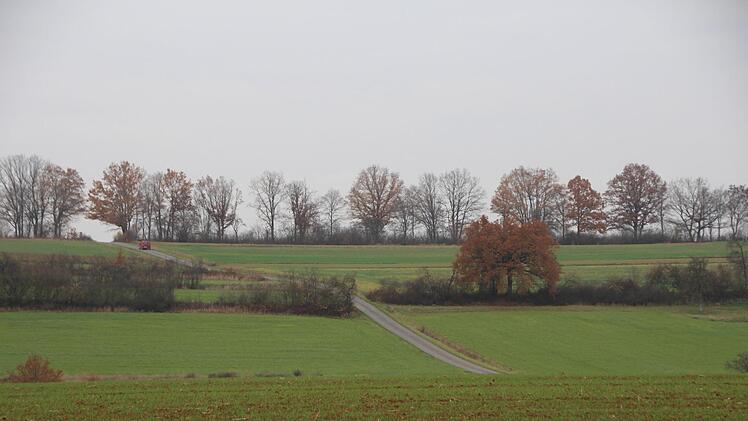 Der Grünstreifen zwischen dem Treibweg (am oberen Bildrand) und dem Heckenzug darunter soll - entgegen der vorherigen Planung - von einer Bebauung frei bleiben. Foto: Andreas Dorsch