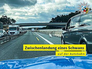 Schwan sorgt f&uuml;r Vollsperrung auf der A3 bei Erlangen