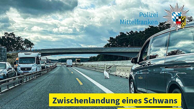 Schwan sorgt f&uuml;r Vollsperrung auf der A3 bei Erlangen