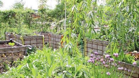Ebenfalls in Ufernähe liegt der Bereich fürs Urban Gardening. Foto: Ulrike Nauer