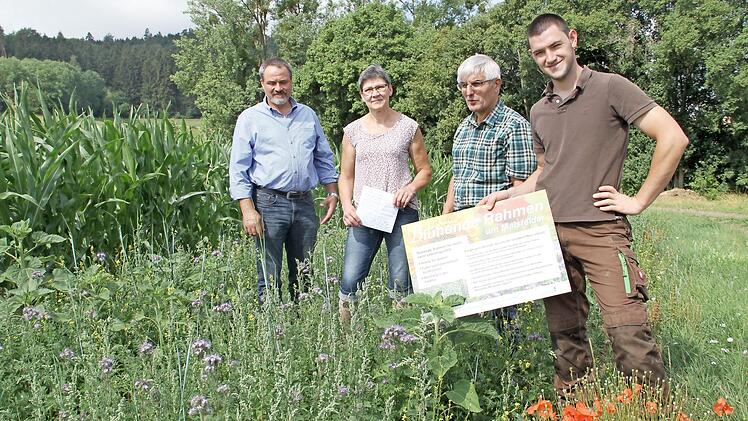 Zum Jubiläum "100 Jahre Freistaat Bayern" hat Daniel Warmuth (rechts) einen "blühenden Rahmen" um sein Maisfeld am Ortsrand von Tiefenroth angelegt. Mit im Bild sind (von links) Kreisobmann Michael Bienlein, Kreisbäuerin Marion Warmuth und BBV-Geschäftsführer Hans-Jürgen Rebelein.