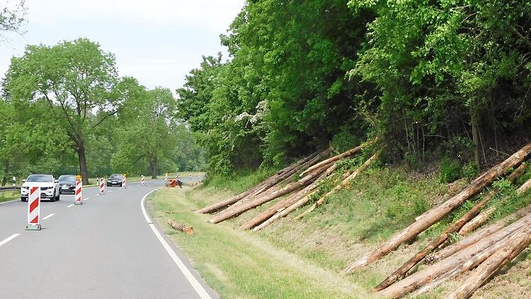 Aus Gründen der Verkehrssicherheit waren an der B 85 zwischen Unterbrücklein und Rohr umfangreiche Holzfällarbeiten nötig.