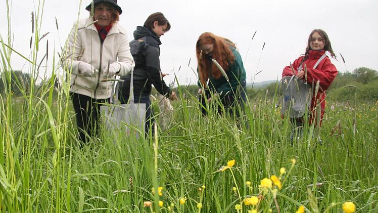 Gabriele Titze, Michaela Reinsch, Julia Möbius und Antonia Schüssler bei der Blumenernte. Foto: Sonny Adam