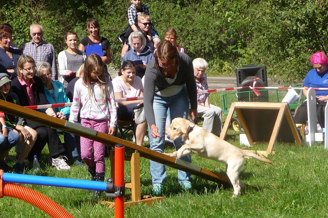 19.8.2017 Tierheimfest Kulmbach
