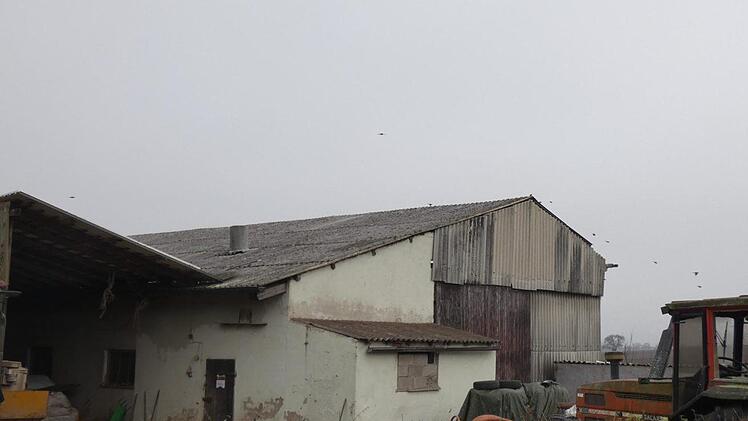 Aus diesem Bauernhof in Uchenhofen brachen innerhalb von nur neun Tagen erneut rund 100 Schweine aus.