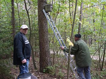 Werner Schmitt (l.) und Wolfgang Huber helfen beim Reinigen der Nisthilfen. Foto: Pauline Lindner