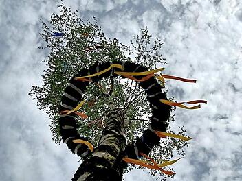 Der Maibaum in Bad Kissingen aus dem Jahr 2025.