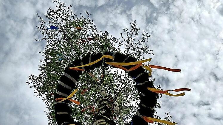 Der Maibaum in Bad Kissingen aus dem Jahr 2025.