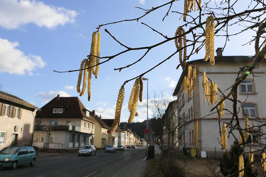 SoS Pressig Landkreis KC; Foto: Barbara Herbst