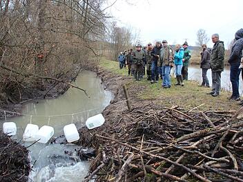 Ein Biberdamm wurde an dieser Stelle beseitigt, der Holzhaufen im Vordergrund zeugt davon. Eine Pendelscheuche aus Kanistern soll den Nager für die Zukunft von dieser Stelle fernhalten. Eckehard Kiesewetter