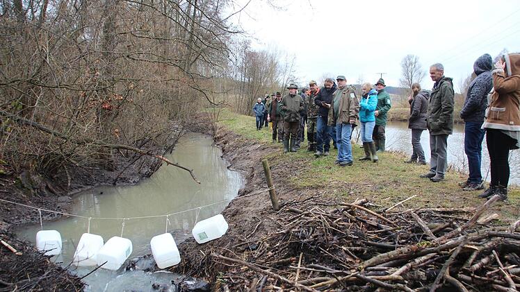 Ein Biberdamm wurde an dieser Stelle beseitigt, der Holzhaufen im Vordergrund zeugt davon. Eine Pendelscheuche aus Kanistern soll den Nager für die Zukunft von dieser Stelle fernhalten. Eckehard Kiesewetter