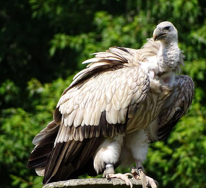 Ein Besuch im Wildtierpark Schloss Tambach. Danke an inFrankenPix-Nutzer herzolife!