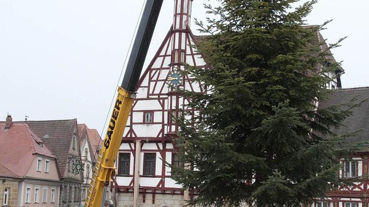 er Christbaum schwebt auf dem Rathausplatz ein. Foto: Josef Hofbauer