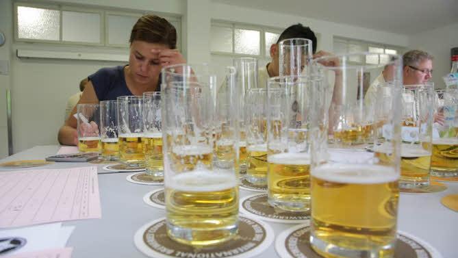 Die Brauerei Greif gewann beim European Beer Star 2013 Gold und Silber. Foto: European Beer Star
