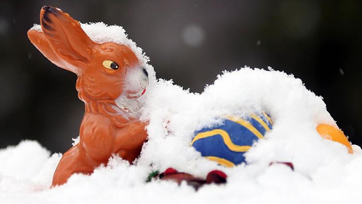 Der Osterhase kommt - zumindest in manchen Supermärkten - viel zu früh. Foto: Wolfgang Kumm/dpa