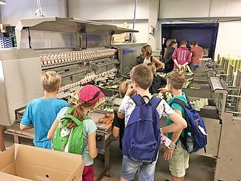 An der Sortiermaschine gab es viel zu sehen. Foto: Mareike Vogler