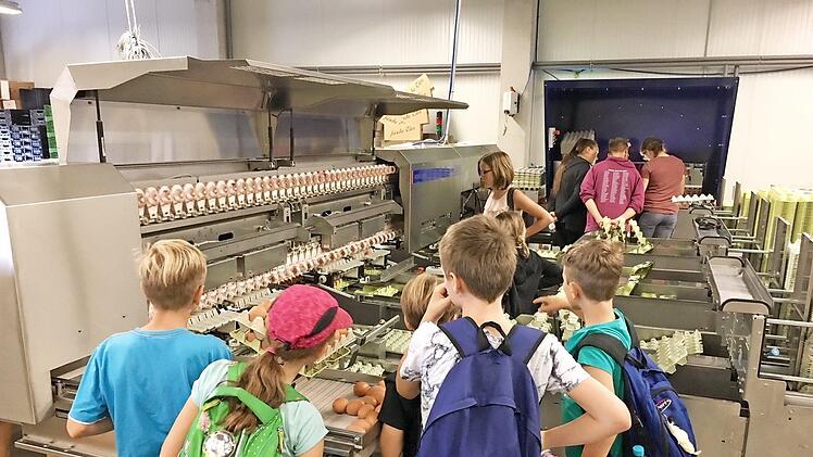 An der Sortiermaschine gab es viel zu sehen. Foto: Mareike Vogler