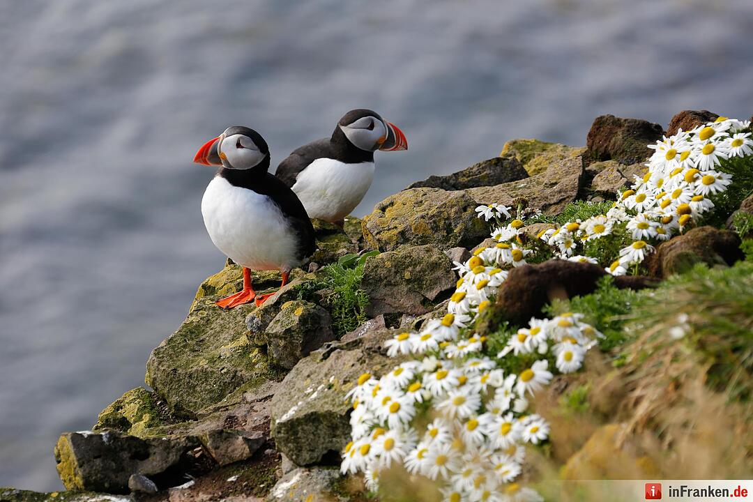 Bilder aus Island