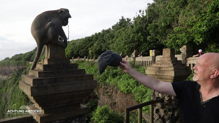 "Haben die Tiere hier eine Seeschw&auml;che?", scherzt Peter Giesel. Ein Affe hat soeben seine Brille getauscht. Nun bietet Giesel seine Kappe zum Tausch an.