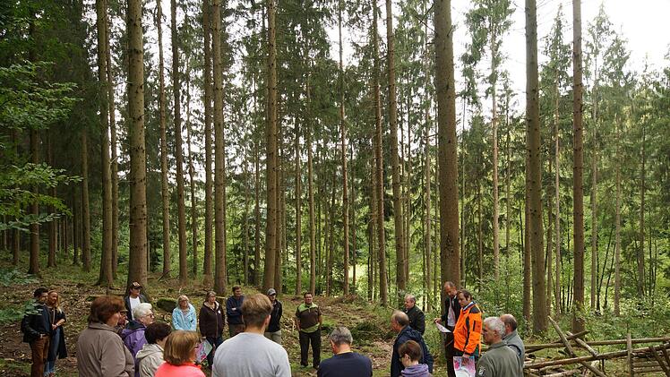 Die Exkursion führt zu den Hängen des Feuerbergs bei Heckmühle.Foto: Arkadius Guzy