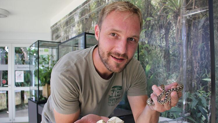 Michael Ricker zeigt im Tropenhaus den frisch geschlüpften Nachwuchs der Bullennattern. Veronika Schadeck