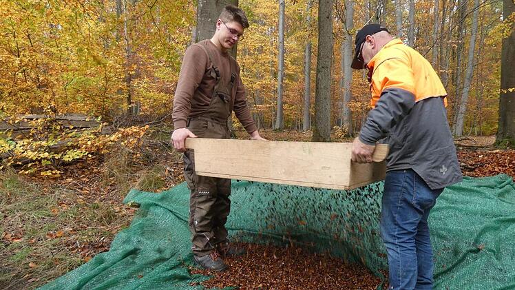 Vor Ort trennen die Forst-Mitarbeiter durch Sieben die Bucheckern vom Laub.