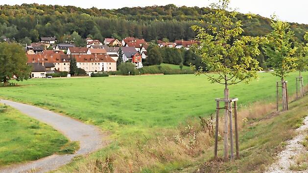 Die rechte Seite des Grundst&uuml;ckes zwischen der Hollfelder Stra&szlig;e und der Ortsumgehung war ein Zankapfel im Weismainer Stadtrat: Soll hier ein Baugebiet oder ein Vollsortimentsmarkt entstehen?