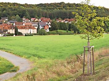 Die rechte Seite des Grundstückes zwischen der Hollfelder Straße und der Ortsumgehung war ein Zankapfel im Weismainer Stadtrat: Soll hier ein Baugebiet oder ein Vollsortimentsmarkt entstehen?