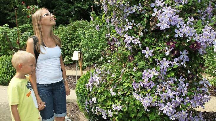 Lisa Nitschke bummelte mit Sohn Silas durch den Lehrgarten und sie interessierte sich vor allem f&uuml;r den Anbau von Obst in Spalierform. Fotos: Wolfgang Desombre