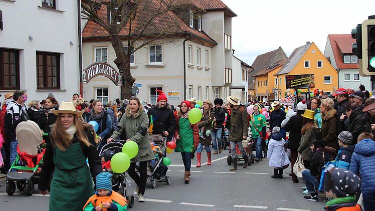 Der Faschingsumzug in Höchstadt war auch 2017 wieder sehr gut besucht. Foto: Christian Bauriedel