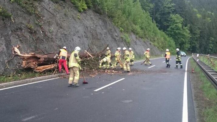 Foto: Freiwillige Feuerwehr Ludwigsstadt