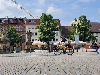Der Paradeplatz in Forchheim soll einen "einladenden Charakter" bekommen: Seit Dienstag steht fest, welche Baumsorte neu gepflanzt werden sollen. Foto: Ronald Heck