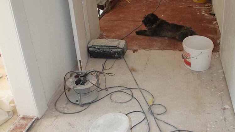 Foto: Ulrike Müller