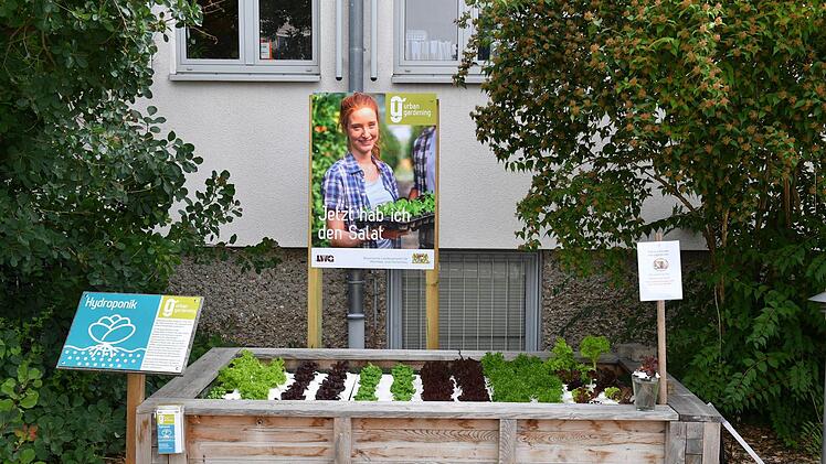 Einweihung Demonstrationsgarten der LWG am Schillerplatz 15. Foto: Ronald Rinklef