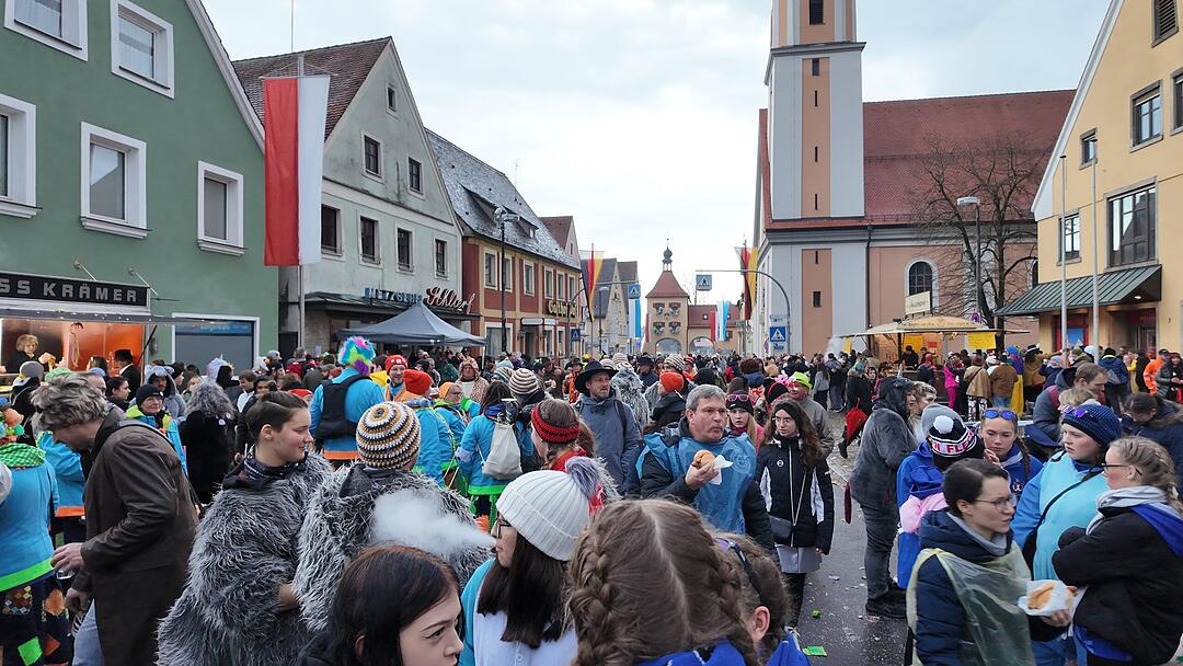 Die Narren sind los: Faschingszug zieht durch Allersberg