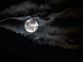 Foto: Angelika Warmuth/dpa