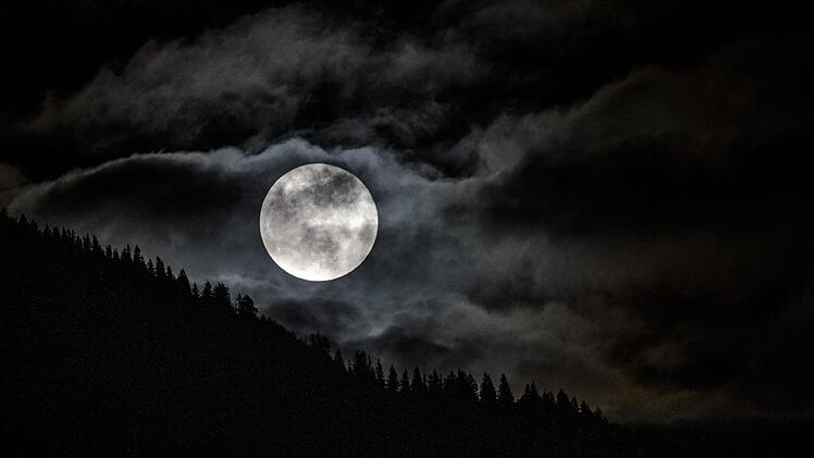 Foto: Angelika Warmuth/dpa