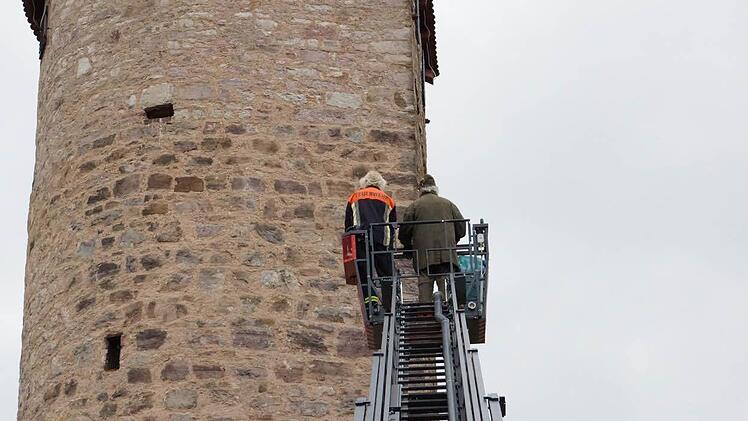 Mit der Drehleiter zum Nest